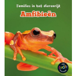 Amfibieën