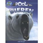 Pooldieren