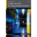 Brinkman Uitgeverij Cyber security & veilig programmeren