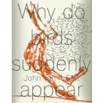 John van &apos;t Slot - Why do birds suddenly appear?