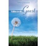 Vallen in de Geest