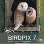 Birdpix 