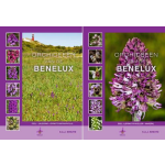 Kreutz Publishers Orchideeën van de Benelux