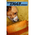 Het Ziggy experiment