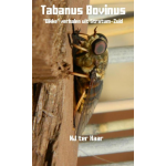 Tabanus Bovinus