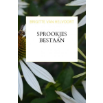 Mijnbestseller.nl Sprookjes Bestaan