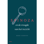 Spinoza en de vreugde van het inzicht