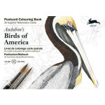 Audubon&apos;s Birds of America