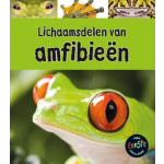 Lichaamsdelen van amfibieën