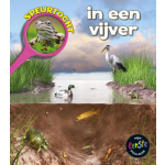 In een vijver