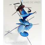 Auke de Vries - Tussenlanding