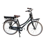 Vogue Elektrische fiets e-Elite dames mat 50cm 468 Watt - Zwart