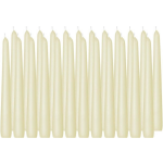 Trend Candles 24x Ivoorte Dinerkaarsen 25 Cm 8 Branduren - Geurloze Kaarsen - Tafelkaarsen/kandelaarkaarsen - Wit