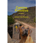 Brave New Books Camino Primitivo