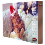 Trixie Adventskalender Voor Katten - Kattensnack - 24.5x37x3.5 cm
