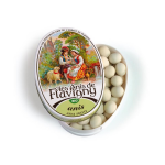 Anis de Flavigny Anijspastilles anijs 50 gram