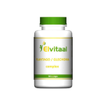 Elvitaal Plantago/Glechoma complex 90 capsules