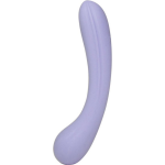 Sweet Smile Dildo Slightly Curved