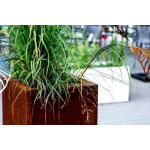 Intergard Bloembak plantenbak vierkant cortenstaal 80x80cm