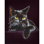 Top1Toys Midnight Cat Diamond Dotz: 28x36 cm - Zwart