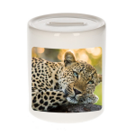 Bellatio Decorations Dieren luipaard foto spaarpot 9 cm jongens en meisjes - Cadeau spaarpotten jaguars/ luipaarden liefhebber