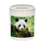 Bellatio Decorations Dieren panda foto spaarpot 9 cm jongens en meisjes - Cadeau spaarpotten pandaberen liefhebber