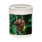 Bellatio Decorations Dieren orangoetan foto spaarpot 9 cm jongens en meisjes - Cadeau spaarpotten orangoetan apen liefhebber