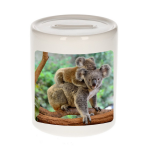 Bellatio Decorations Dieren koala foto spaarpot 9 cm jongens en meisjes - Cadeau spaarpotten koalaberen liefhebber
