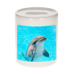 Bellatio Decorations Dieren dolfijn foto spaarpot 9 cm jongens en meisjes - Cadeau spaarpotten dolfijnen liefhebber
