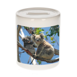 Bellatio Decorations Dieren koala beer foto spaarpot 9 cm jongens en meisjes - Cadeau spaarpotten koala beer koalaberen liefhebber
