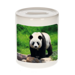 Bellatio Decorations Dieren grote panda foto spaarpot 9 cm jongens en meisjes - Cadeau spaarpotten grote panda pandaberen liefhebber
