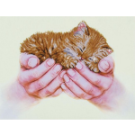 Top1Toys Precious Kitten Diamond Dotz - 52x40 cm - Diamond Painting