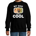 Bellatio Decorations Chow chow honden trui / sweater my dog is serious cool - kinderen - Chow chows liefhebber cadeau sweaters - Zwart