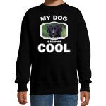 Bellatio Decorations Friese stabij honden trui / sweater my dog is serious cool - kinderen - Friese stabijs liefhebber cadeau sweaters - Zwart