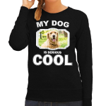 Bellatio Decorations Golden retriever honden trui / sweater my dog is serious cool - dames - Golden retrievers liefhebber cadeau sweaters - Zwart