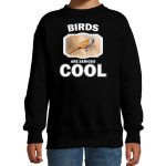 Bellatio Decorations Dieren vogels sweater kinderen - birds are serious cool trui jongens/ meisjes - cadeau baardmannetje vogel/ vogels liefhebber - Zwart