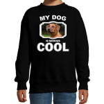 Bellatio Decorations Rhodesische pronkrug honden trui / sweater my dog is serious cool - kinderen - Pronkruggen liefhebber cadeau sweaters - Zwart