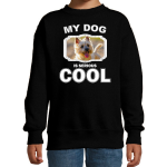 Bellatio Decorations Cairn terrier honden trui / sweater my dog is serious cool - kinderen - Cairn terriers liefhebber cadeau sweaters - Zwart