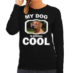 Bellatio Decorations Rhodesische pronkrug honden trui / sweater my dog is serious cool - dames - Pronkruggen liefhebber cadeau sweaters - Zwart