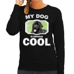 Bellatio Decorations Newfoundlander honden trui / sweater my dog is serious cool - dames - Newfoundlanders liefhebber cadeau sweaters - Zwart