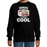 Bellatio Decorations Dieren vogels sweater kinderen - birds are serious cool trui jongens/ meisjes - cadeau pestvogel/ vogels liefhebber - Zwart