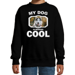 Bellatio Decorations Husky honden trui / sweater my dog is serious cool - kinderen - Siberische huskys liefhebber cadeau sweaters - Zwart