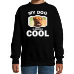 Bellatio Decorations Franse mastiff honden trui / sweater my dog is serious cool - kinderen - Franse mastiff liefhebber cadeau sweaters - Zwart