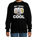 Bellatio Decorations Witte herder honden trui / sweater my dog is serious cool - kinderen - Witte herders liefhebber cadeau sweaters - Zwart