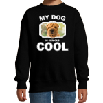 Bellatio Decorations Shar pei honden trui / sweater my dog is serious cool - kinderen - Shar peis liefhebber cadeau sweaters - Zwart