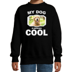 Bellatio Decorations Golden retriever honden trui / sweater my dog is serious cool - kinderen - Golden retrievers liefhebber cadeau sweaters - Zwart