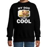 Bellatio Decorations Chihuahua honden trui / sweater my dog is serious cool - kinderen - Chihuahuas liefhebber cadeau sweaters - Zwart