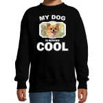 Bellatio Decorations Chihuahua honden trui / sweater my dog is serious cool - kinderen - Chihuahuas liefhebber cadeau sweaters - Zwart