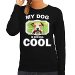 Bellatio Decorations Jack russel honden trui / sweater my dog is serious cool - dames - Jack russel terriers liefhebber cadeau sweaters - Zwart