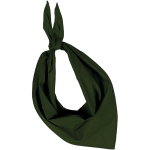 Kariban Bandana/zakdoek olijf voor volwassenen - Groen